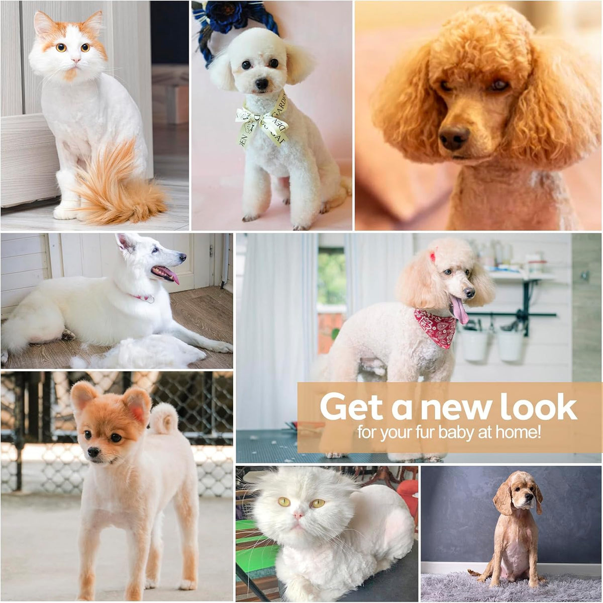Dog Grooming Clippers Kit