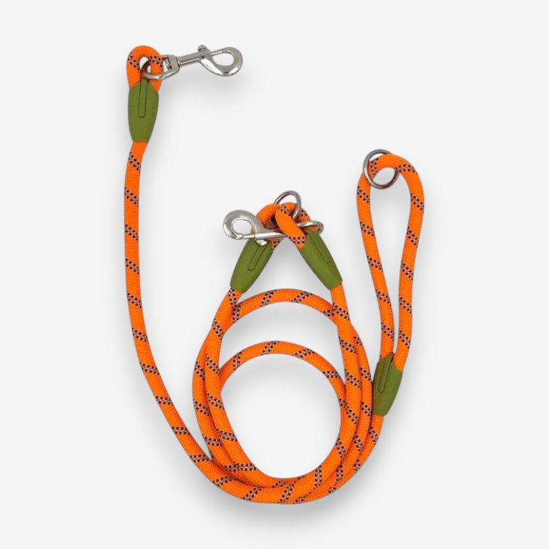 Hands-Free Dog Leash with Adjustable Belt