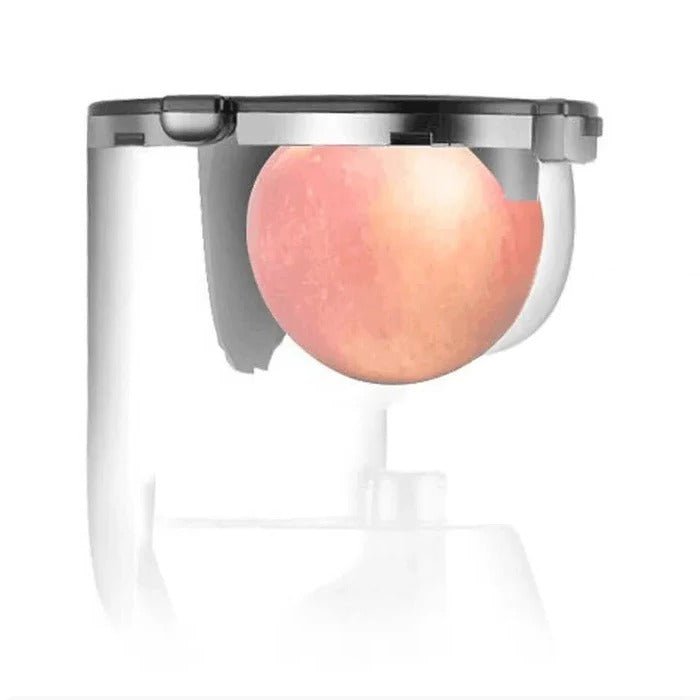 Automatic Juicer - Household Juicer for Fruits and Vegetables