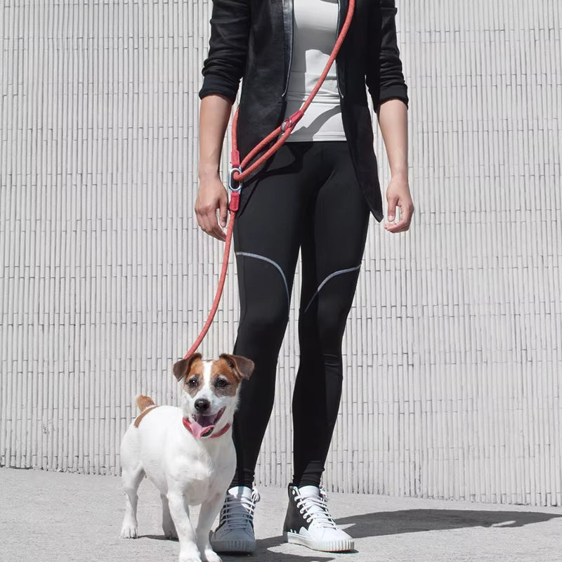 Hands-Free Dog Leash with Adjustable Belt