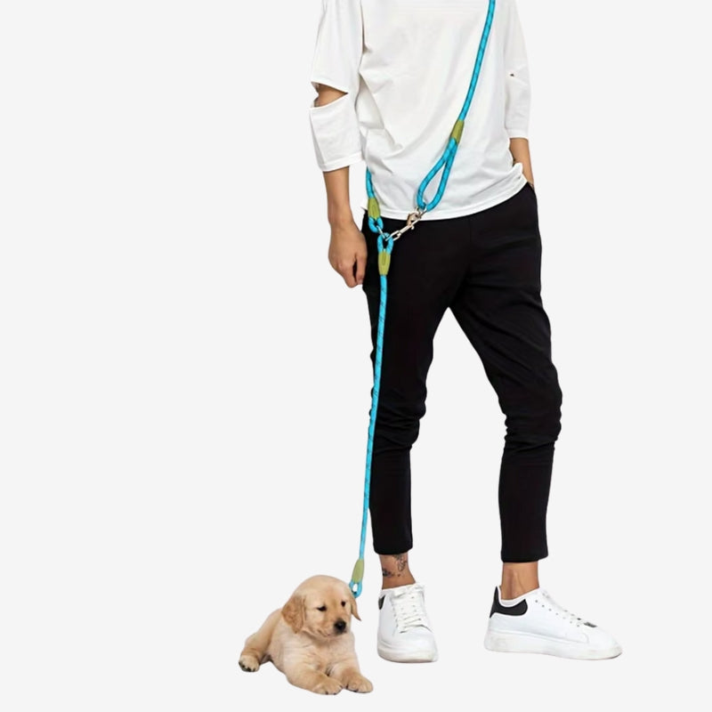 Hands-Free Dog Leash with Adjustable Belt