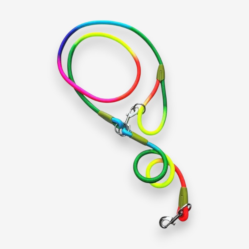 Hands-Free Dog Leash with Adjustable Belt