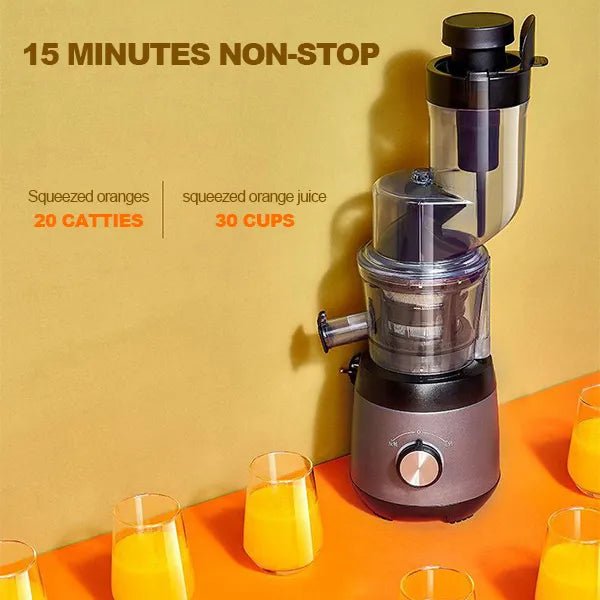 Automatic Juicer - Household Juicer for Fruits and Vegetables