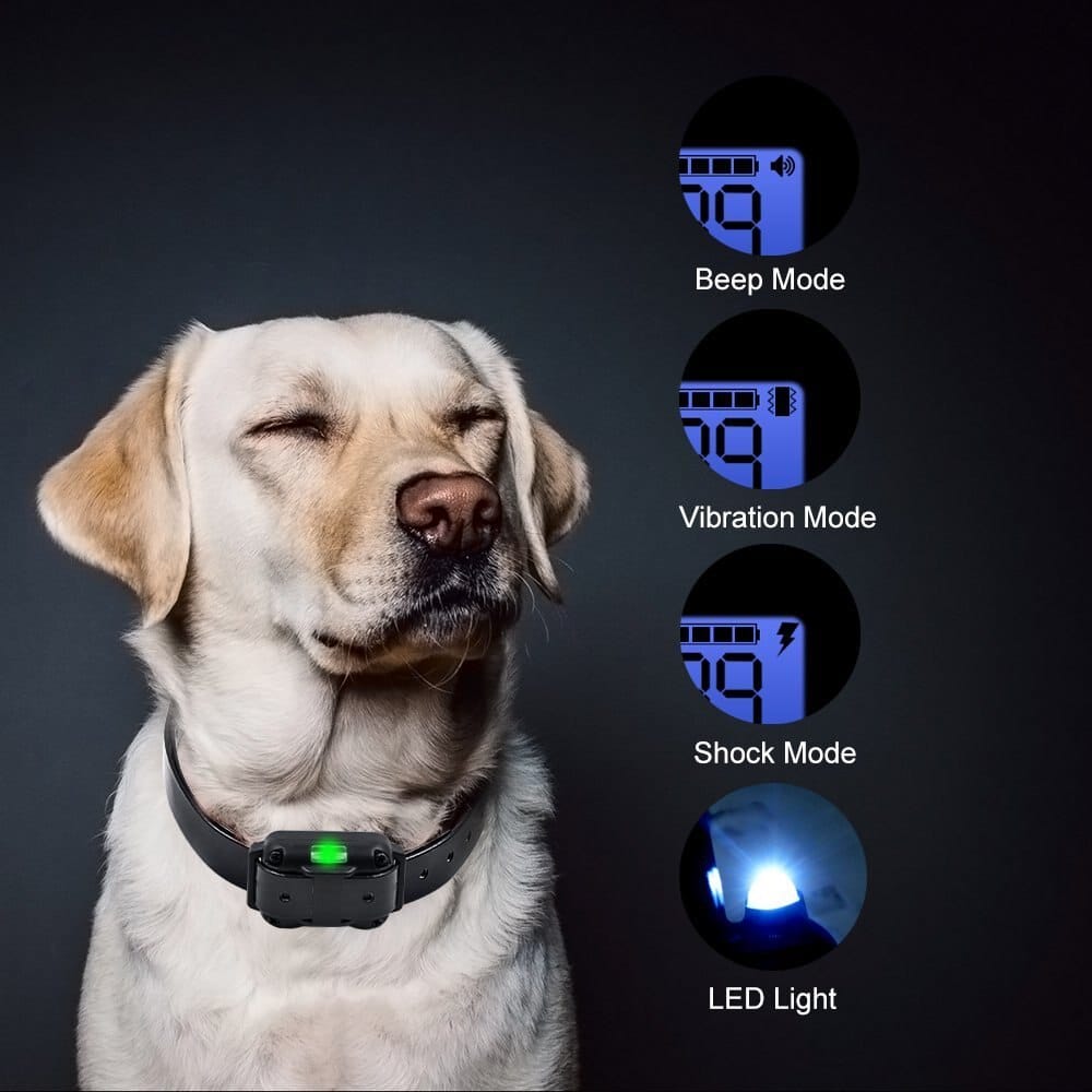 Electric Dog Training Collar 800M Range
