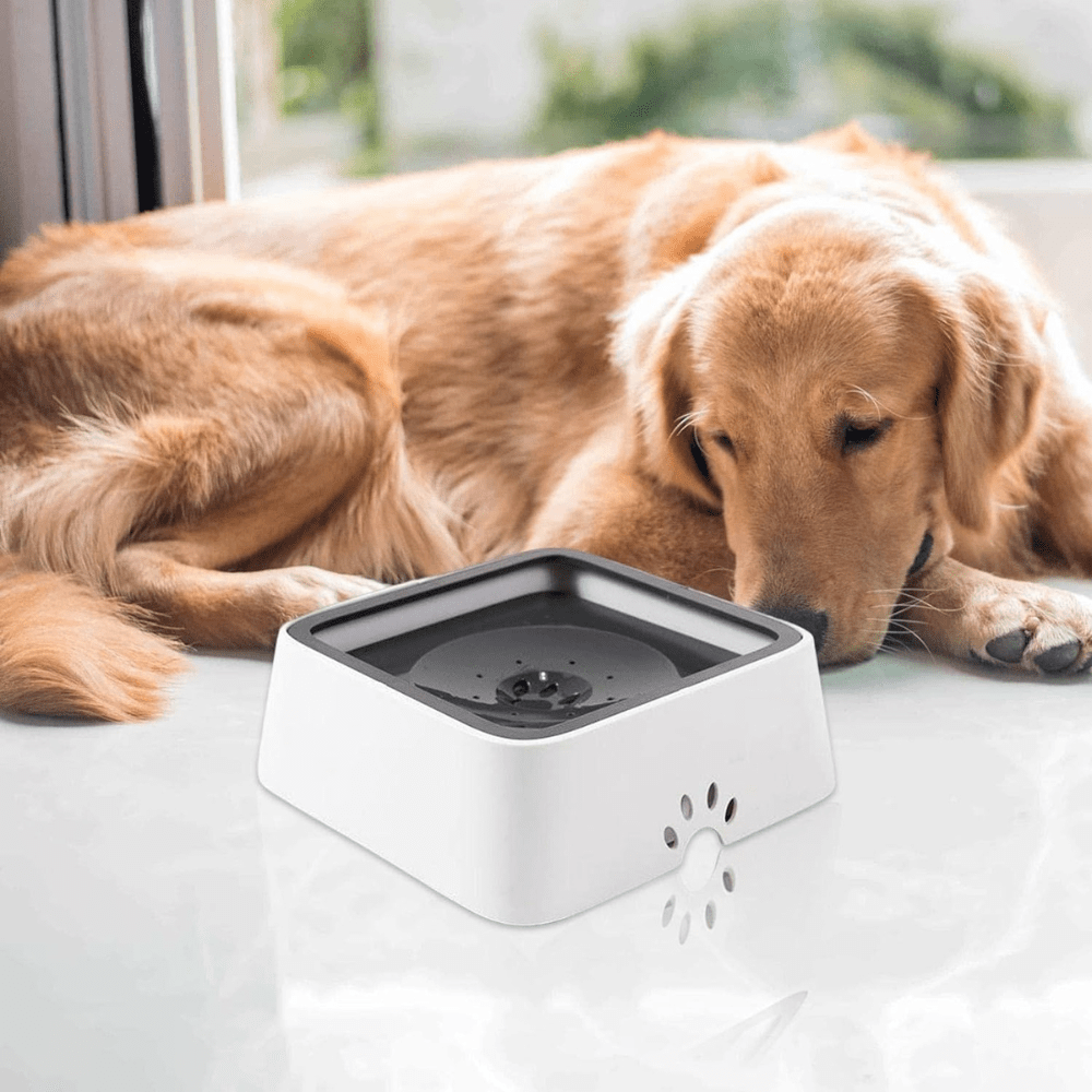 Large Capacity Anti-Overflow Dog Drinking Water Bowl