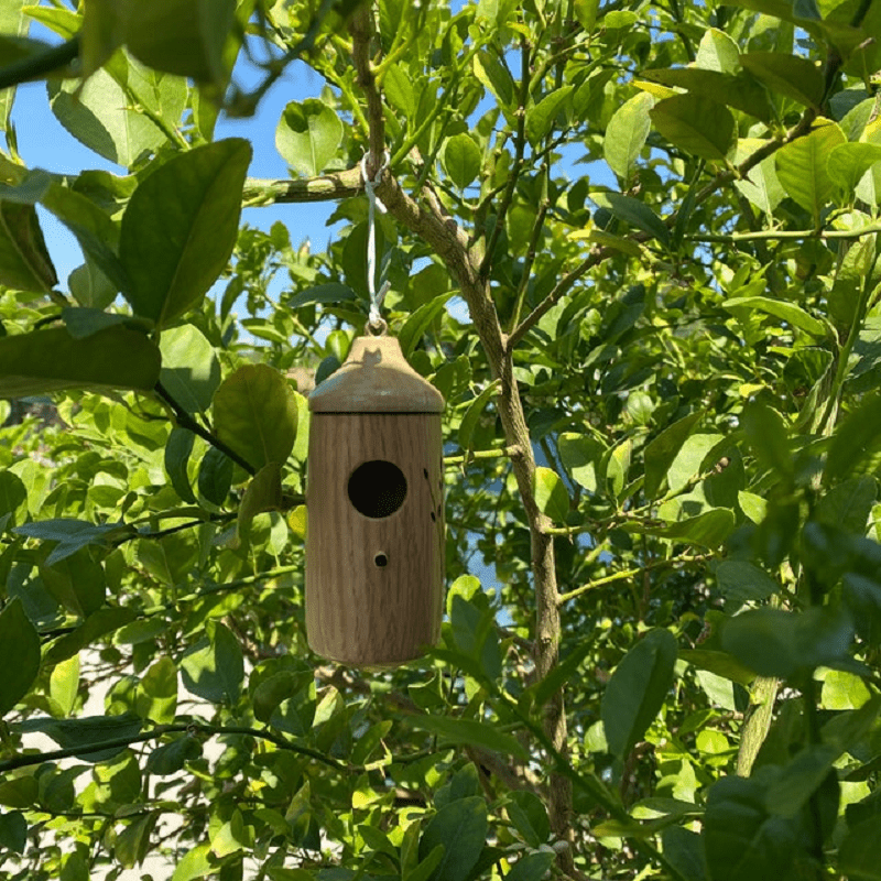 Wooden Hummingbird House - Gift for Nature Lovers
